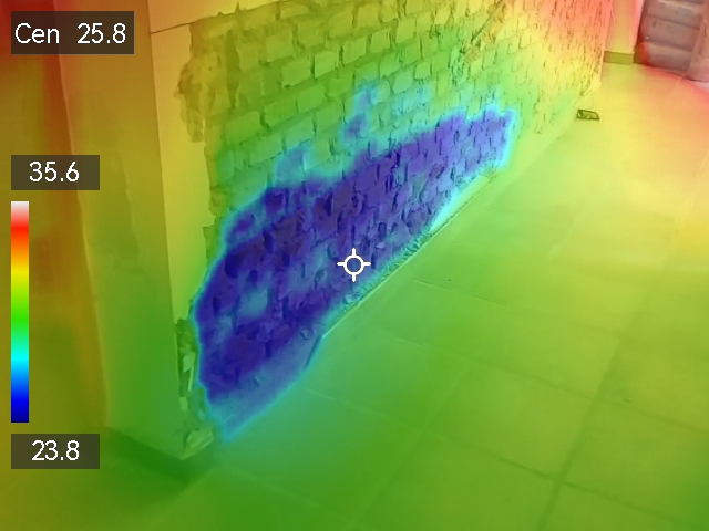 Inspección Térmica Sustentia 2