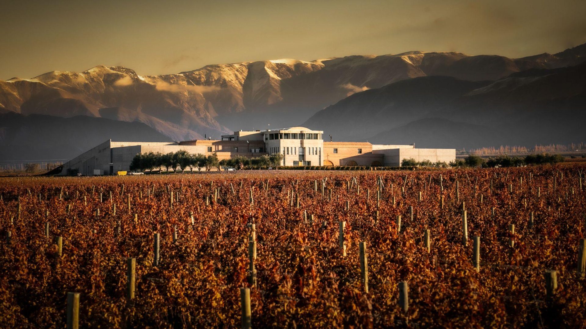 Bodega Monteviejo