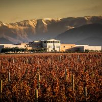 Bodega Monteviejo